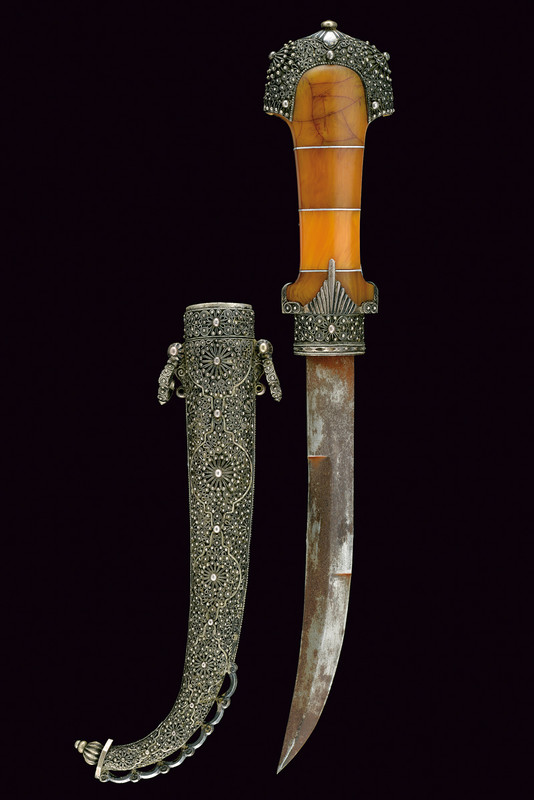 Bellissima koummya