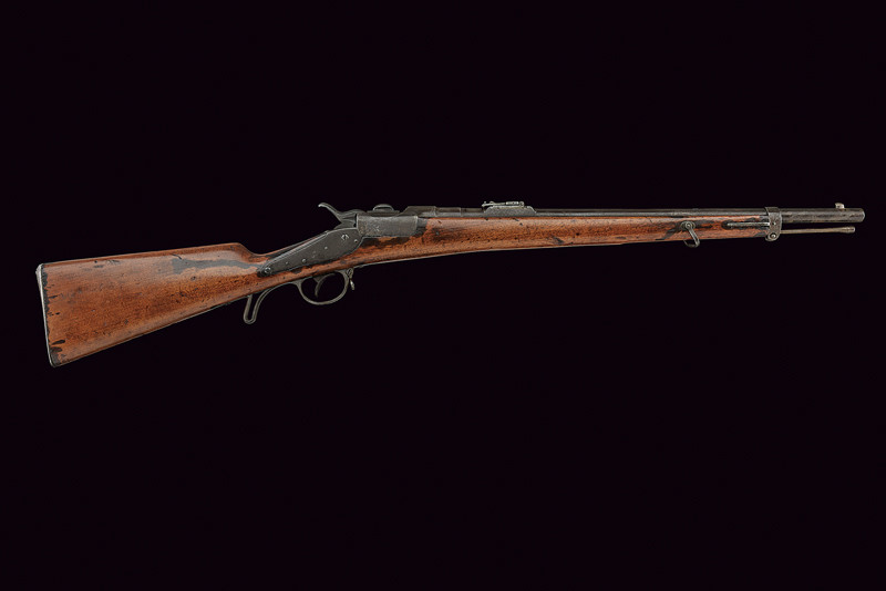 Carabina Werndl mod. 1873 da cavalleria