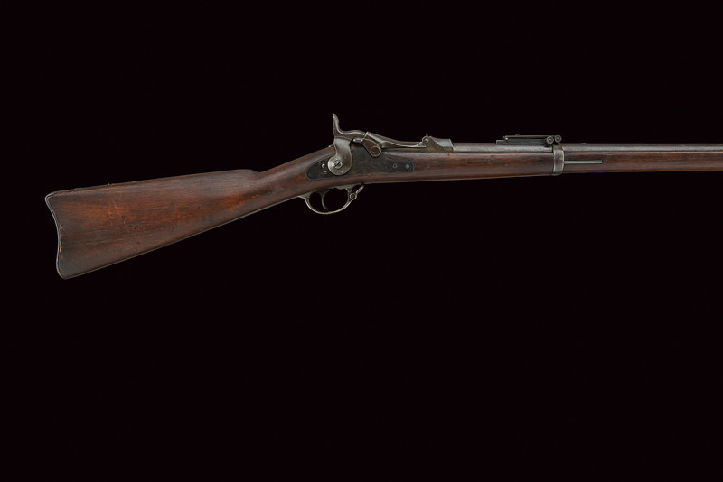 Model 1884 "Trapdoor" Rifle