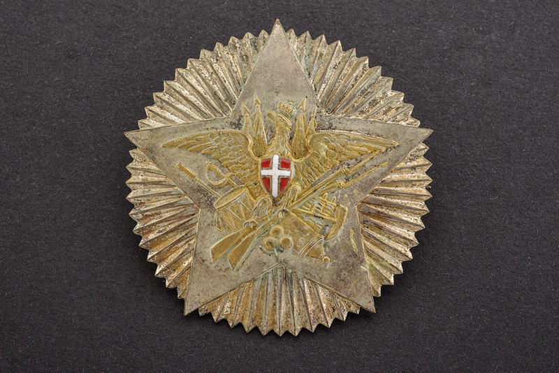 Distintivo da veterani