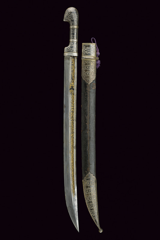 Rarissima shasqua