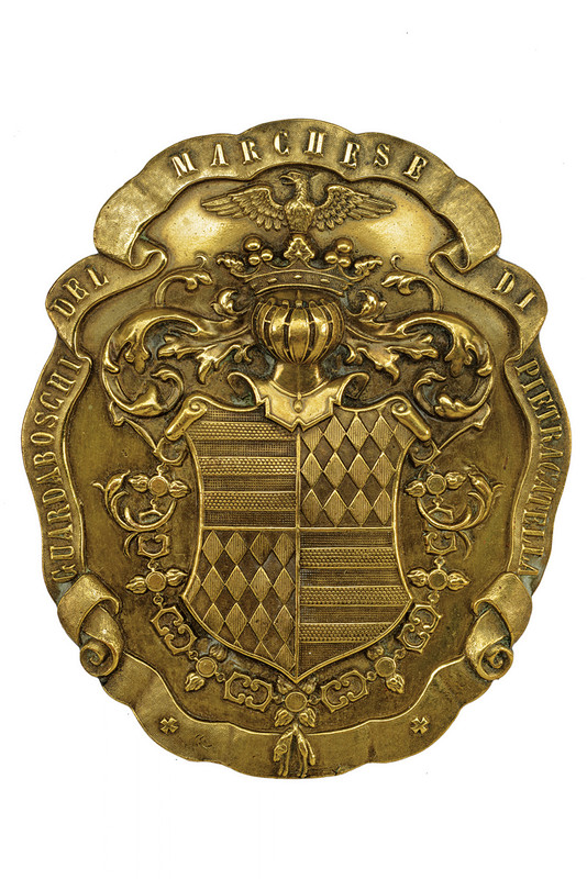 Placca da guardiaboschi
