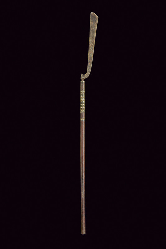 Arma in asta