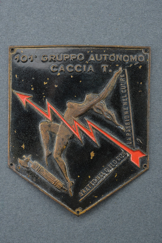 101° Gruppo Autonomo Caccia T.