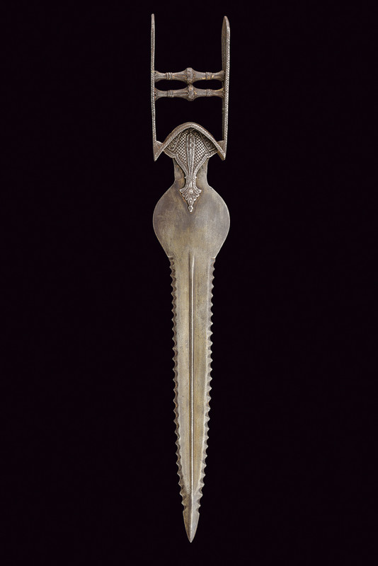 Katar con rara lama