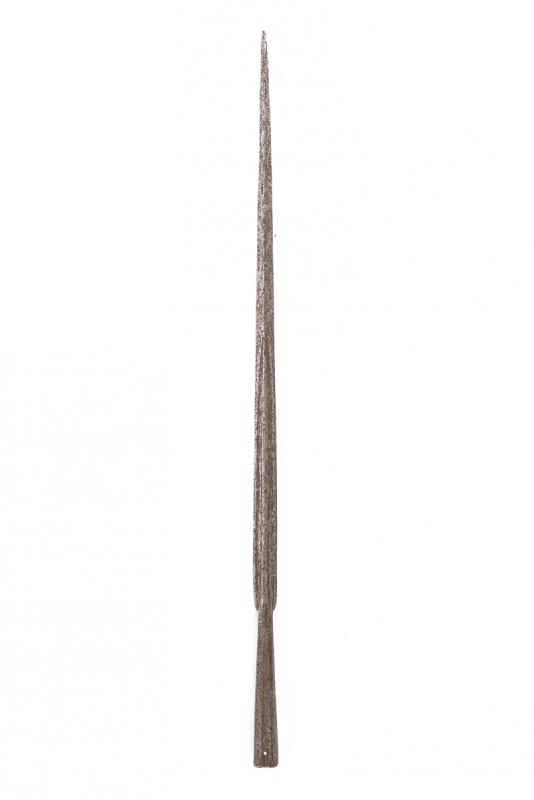 Lunga punta di lancia