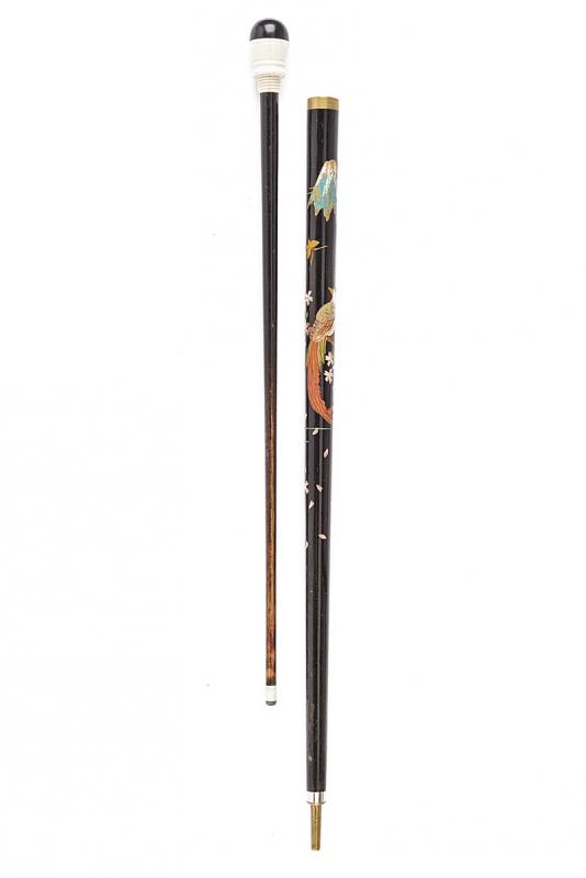 Bastone continente un bastone da pool billiard