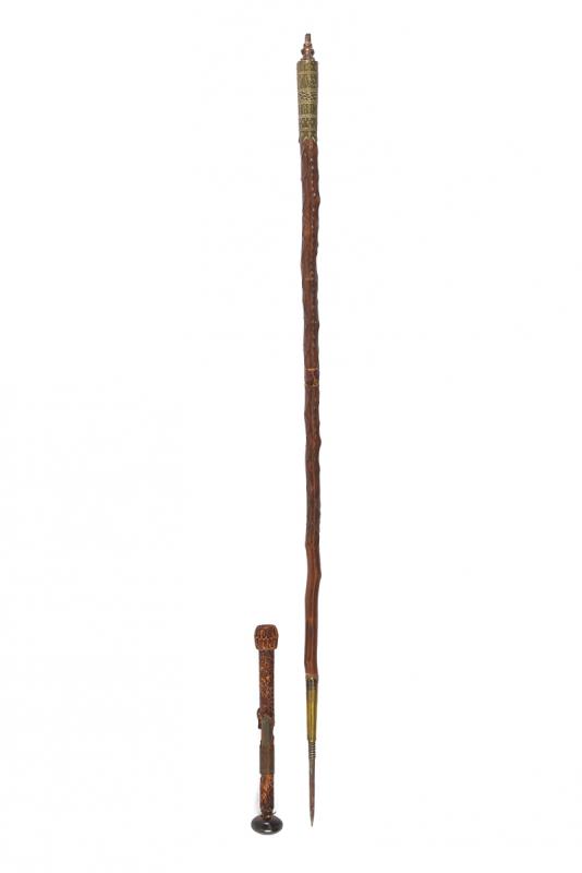 Bastone animato e di difesa