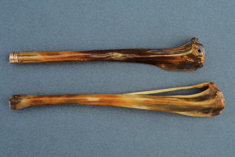 Lotto di due bocchini