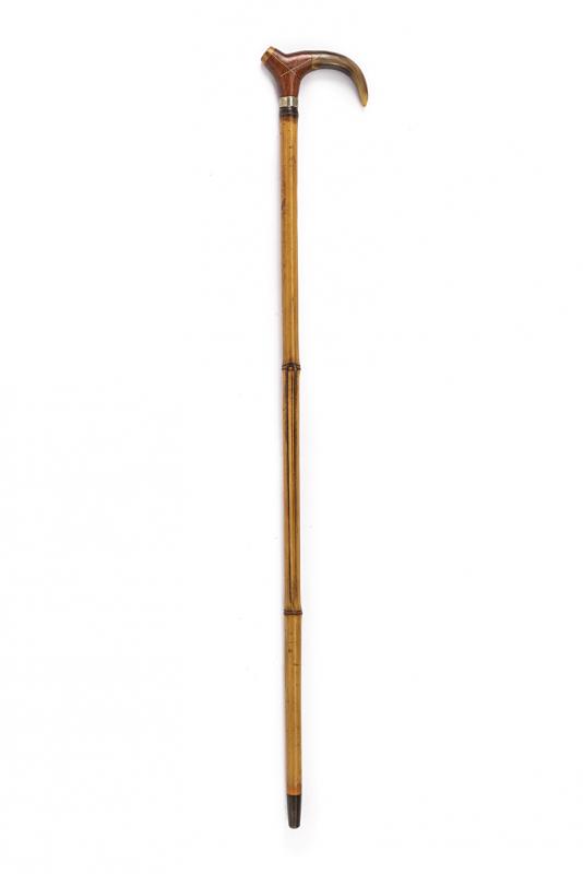 Bastone da passeggio