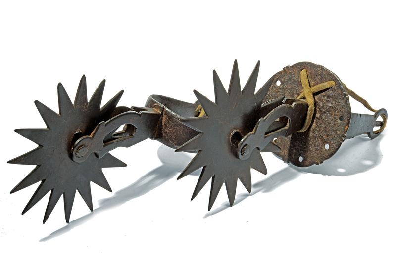 Paio di grandi speroni