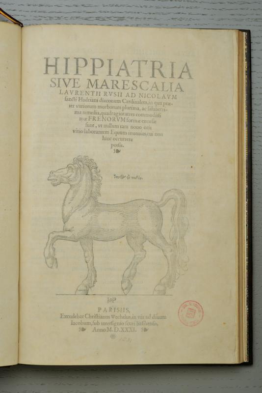 Rusio, Lorenzo