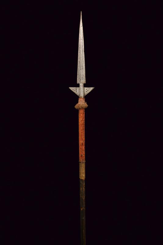 Spiedo da guerra (Fluegellanze)