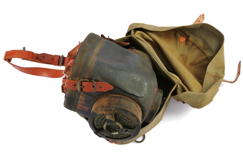 Maschera antigas da cavallo Draeger