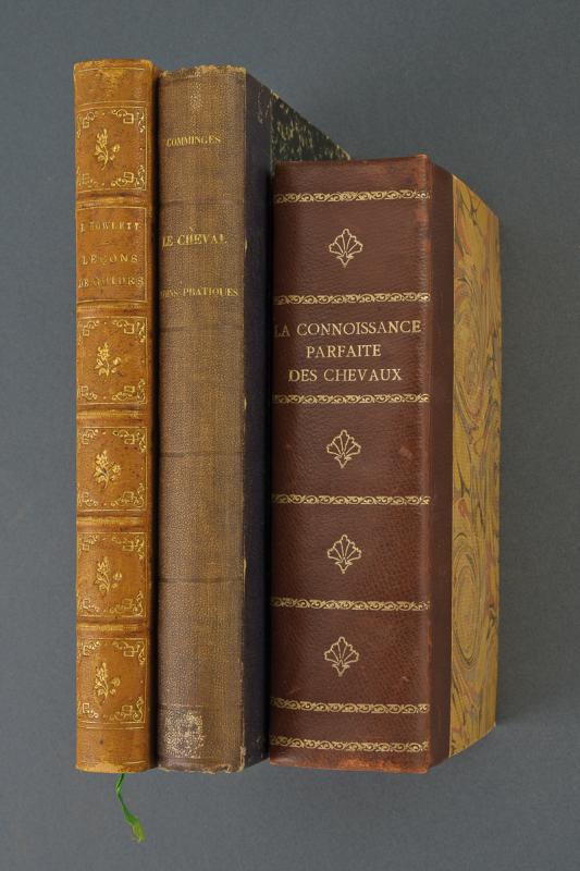 Lotto di tre libri su cavalli