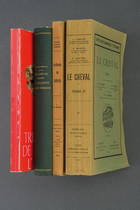Lotto di quattro libri su cavalli