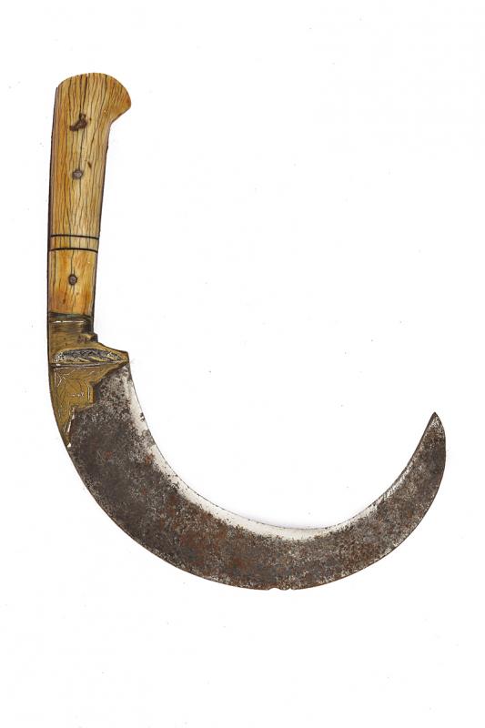 Coltello