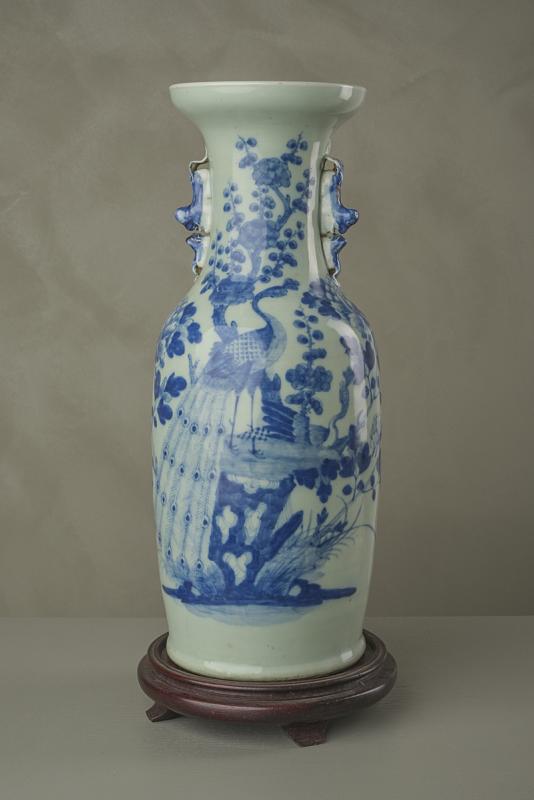 Vaso