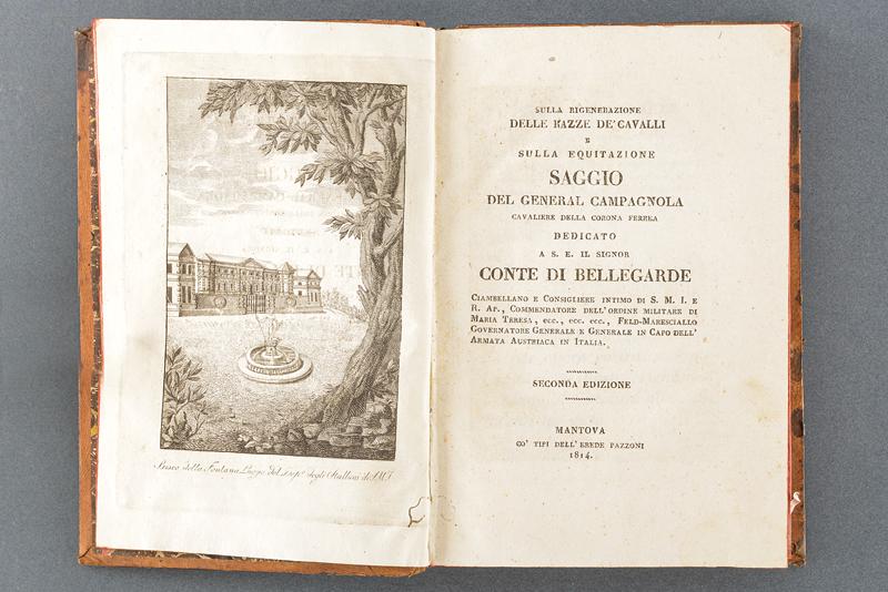 Campagnola, Generale