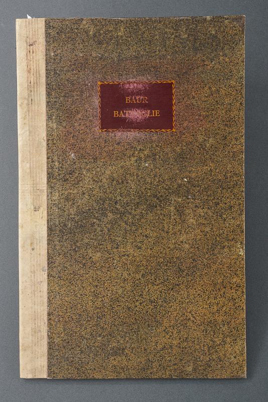 Baur, Johann Wilhelm
