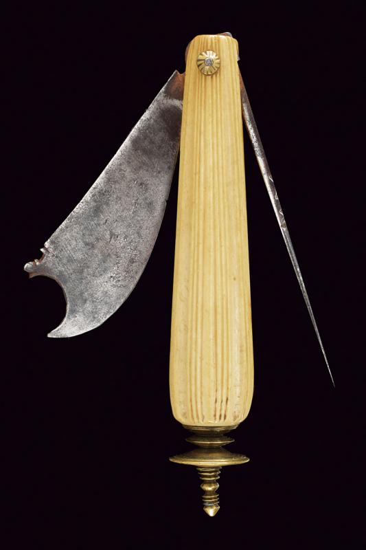 Interessante coltello pieghevole