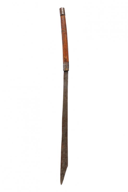 Spada (topo)